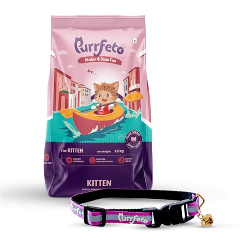 Image of Purrfeto Kitten Dry Cat Food | Chicken & Ocean Fish | 1.2 kg with Reflective Collar Worth Rs 99 Free | 40% Reduction in Urinary Track Diseases |Promotes Brain & Vision Development
