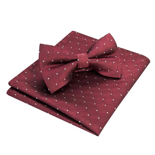 [HISDERN] 蝶ネクタイ メンズ ワンタッチ ボウタイ -