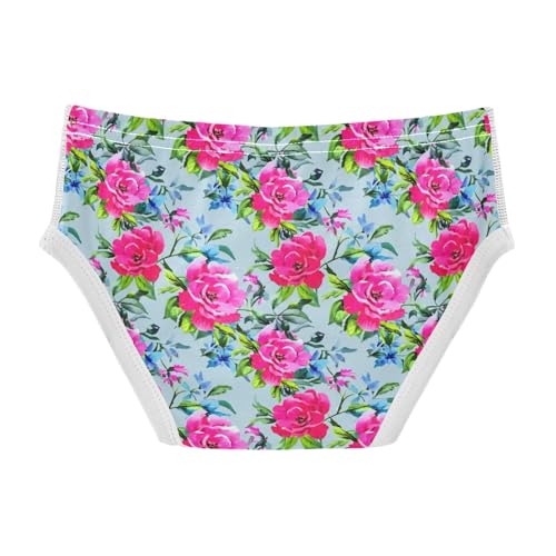 Pink Flowers Toddler Boy's Underwear 2T 202c16192
