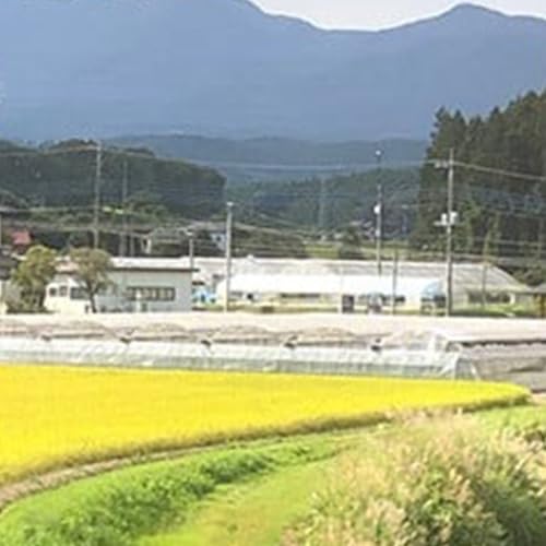 朝摘みとちあいか 280g×4パック