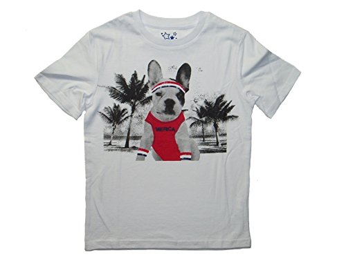 American Patriotic Boy's Youth Graphic T-Shirt White French Bulldog Merica