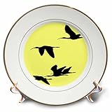 3dRose Taiche - Vector Art - Ibis - Silhouette of Ibises in Flight - Plates (cp_355399_1)