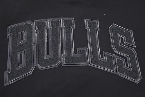 Image of Pro Standard Mens NBA Classic Pull Over Hoodie