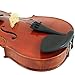 D'Luca PDZ02-14 14-Inch Orchestral Series Viola Outfit