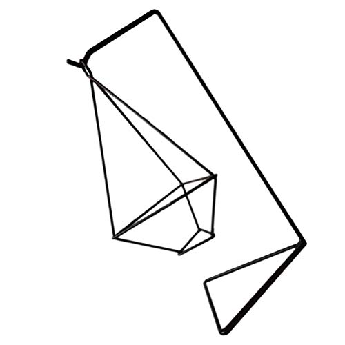 POPETPOP Carrinho de Exposição Titular Vaso de Vidro Hidroponia Plantador de Ferro Ornamento Stand P