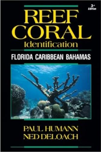 Reef Coral Identification: Florida, Caribbean, Bahamas