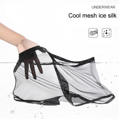 Men's Ice Silk Sexy Mesh Boxer Briefs Ultra-Thin Transparent Breathable Hollow Underwear2