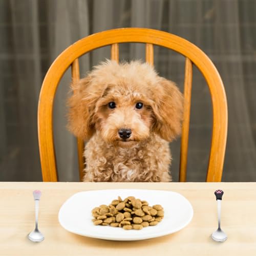 Sibba 2 Stück Katzen Löffel Edelstahl Haustier Futter Löffel Tierfutter Dosenlöffel Hundelöffel Pet Cat Can Spoon Futterlöffel Langer Griff Futterdosenlöffel zum Füttern von Nassfutter für Haustiere