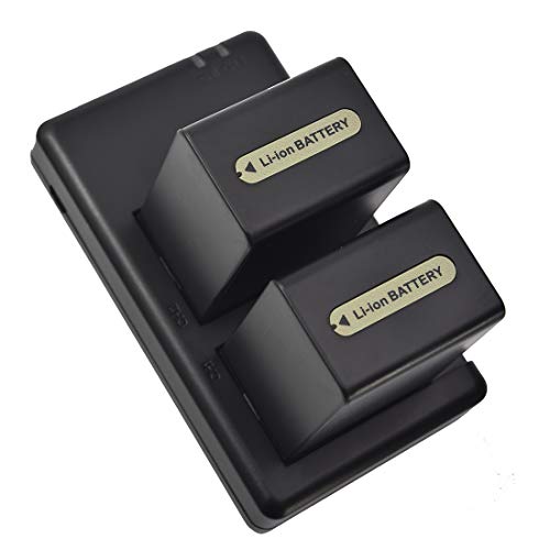 Kit NP-FH100 cargador y baterías para grabar recuerdos familiares en Sony DCR-DVD508
