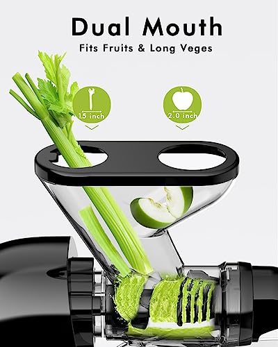Masticating Juicer with Wide Chute