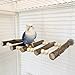 Parrot Bird Swing Wooden Ladder, Cage Hanging Pet Cage Bird Climbing Step Ladders, Bird Wooden Platform Perch Playground Play Stands Toys for Parakeet Cockatiel Conures Lovebirds Budgie (Small)
