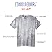 Comfort Colors Adult Heavyweight Short Sleeve Tee, Style G1717/G1745, Smoke (2-Pack), Medium