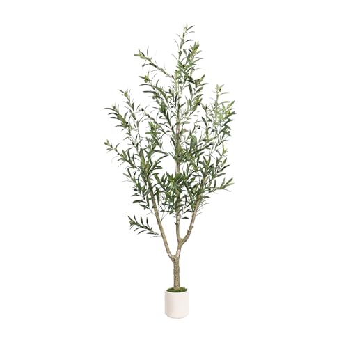 MCTYBB Olive Trees Artificial Indoor Faux Olive Tree 6ft Tall 1Pack with White Planter Fake Olive Tree with Natural Olive Branches and Realistic Leaves for Home Decor Indoor