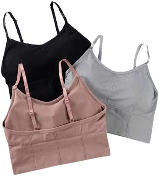 I quited the blog: Because it does not make money (Japanese Edition)