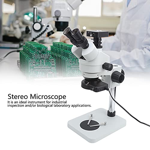 Stereomikroskop, 45 Grad geneigt 360 Grad schwenkbare Augentuben 21MP 2K USB Mikroskop Kamera Trinokulares Mikroskop für… – Bild 5