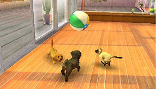 Nintendogs + cats Caniche Toy jeu 3ds simulation animal
