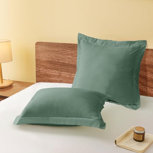 vveiiye Euro Pillow Shams Set of 2 Sage Green Pillow Shams Soft Microfiber Pillow Covers with Envelope Closure, Fade, Wrinkle and Shrink Resistant Bed Pillow Cases, 26 × 26 Inches