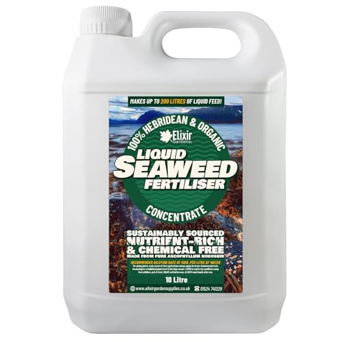 Elixir Gardens | Organic Hebridean Liquid Seaweed Fertiliser | 500ml - 20L Options Available | 10 Litre Bottle