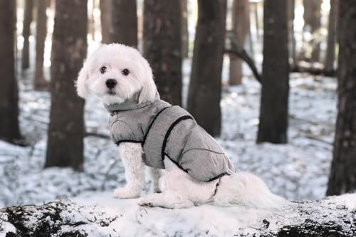 Flamingo Hundemantel Winter – Iglu Grau – XXS 30cm – Isothermische Innenschicht – reflektierende Streifen – wasserabweisend – Klettverschluss – Geschirröffnung