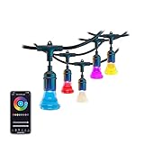 atomi smart Color-Changing String Lights– 48ft, 24 Shatterproof Bulbs 20W, Tunable, Dimmable, Outdoo