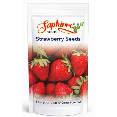 Image of Saphirre Seeds Strawberry Seeds | 100+ Seeds | High Germination | Easy to Grow Fruit Seeds for Home Gardening | Ideal for Pots, Balcony, Terrace & Grow Bags