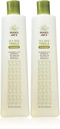 Trader Joes Tea Tree Tingle Shampoo with Peppermint Tea Tree and Eucalyptus Botanicals 16-Ounces Pack of 2