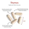Allergy Research Group Thymus Supplement - Thymus Tissue, Glandular Extract, 1000mg Raw Thymus Glandular, Ovine, Lyophilized, Hypoallergenic - 75 Count