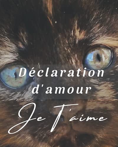 Déclaration d'Amour: AM-042 Déclarez lui votre flamme, votre amour en lui écrivant ce petit livre Déclaration d'Amour: AM-042 Déclarez lui votre flamme, votre amour en lui écrivant ce petit livre