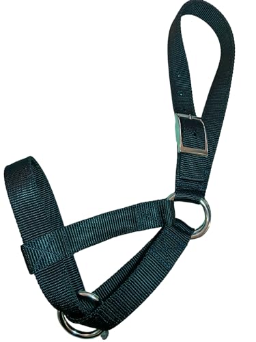 Goat Halters Handmade 4 Sizes USA (Large, GREEN)