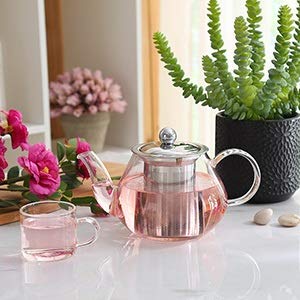 Théière borosilicate de haute qualité avec infuseur en acier inoxydable 304 NERB