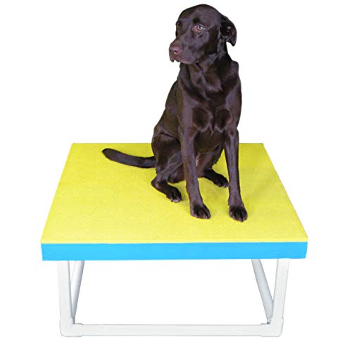 Affordable Agility Wood Pause Table