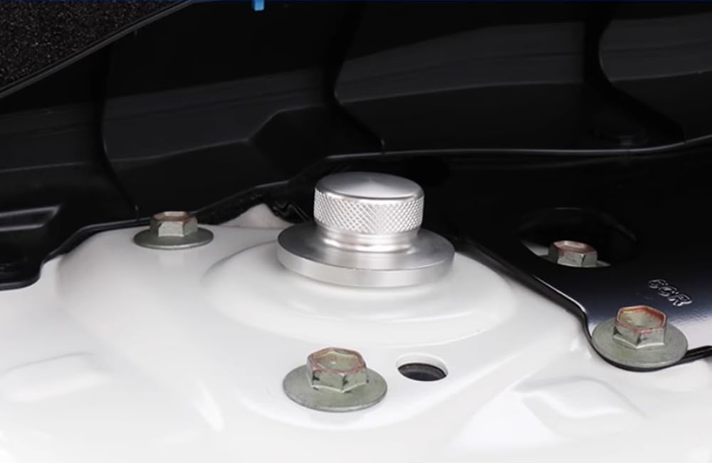 Car Accessories Fit for ALTIMA 2024 2023 2022 2021 2020 2019 Automotive Shock Absorber Protective Shield Cover ABS (Silver) 2 PCS