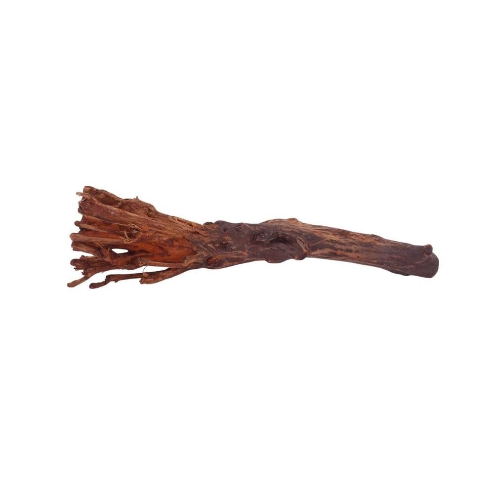 AquaOne Aquarium Wurzel M Jungle Wood Nr.4440 Aquarium Wurzel Holz Deko Aquascaping Dekoration Landschaft Moos Natur Echtholz