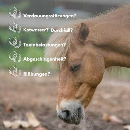 CarboVerte Futterkohle für Pferde 3,5 kg – gegen Kotwasser & Verdauungsprobleme – natürliche Entgiftung, glänzendes Fell & mehr Vitalität – 100% pflanzlich, staubarm