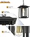 Beionxii Outdoor Pendant Light for Porch, Large Exterior Hanging Lantern Outside Chandelier Black Cast Aluminum w/Clear Glass (13.5