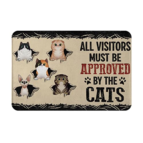 NLLBHG Cat Scratch - All Visitors Must Be Approved by The Cats Non-Slip Absorbent Resist Dirt Doormat Entrance Rug Inside Floor Mats for Home Bedroom Kitchen Front Porch 16"×24"