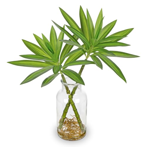 Oairse Artificial Plant in Glass Vase with Faux Water 36cm Decorative Fake Plants Realistic Faux Greenery Artificial Dracaena Reflexa Indoor Plant for Home Office Kitchen Bathroom Table Shelf Decor
