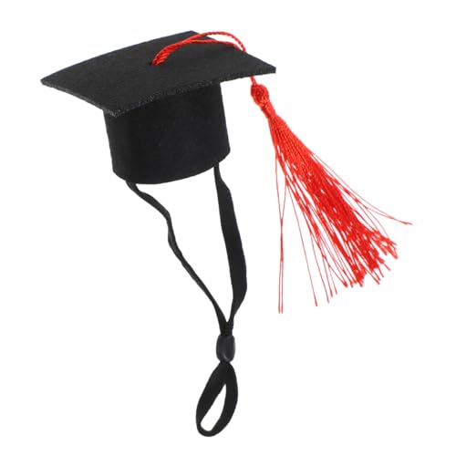 Toyvian ҂ Xq ybg  RX`[ sN 킢 nX