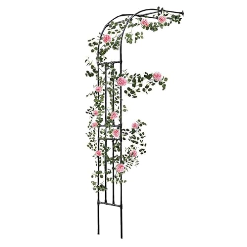Arche de jardin pour plantes grimpantes d'extérieur en métal noir avec pergola de 240 cm