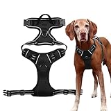 Arnés para perros sin tirar, arnés reflectante para mascotas sin estrangulamiento con 2 clips de correa, arnés para perros, cachorros, gatos, entrenamiento al aire libre