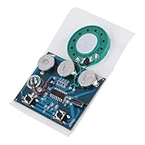 Beufee Sprachmodul, 27 Sekunden Aufnehmbarer Musikton, Sprachmodul-Chip, 0,5 W von Musik, Sprach-Player, Soundmodul-Chip Mit Knopfbatterie(01)