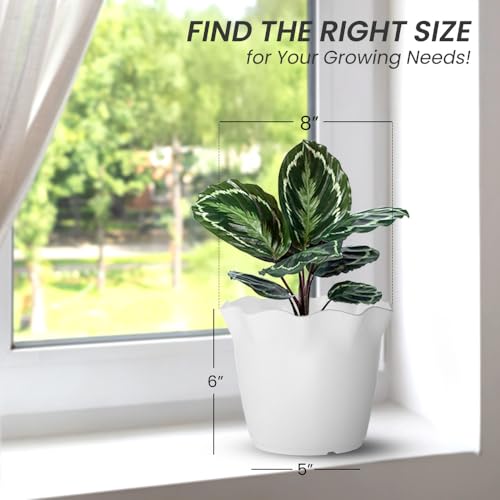 Image of YUCCABE ITALIA SHERA 8 Inch Plastic Flower Pot 3 Piece Set of Unbreakable Round Shape Planter for Home Garden Seedling, Indoor and Outdoor (White)