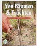 Effekt GmbH