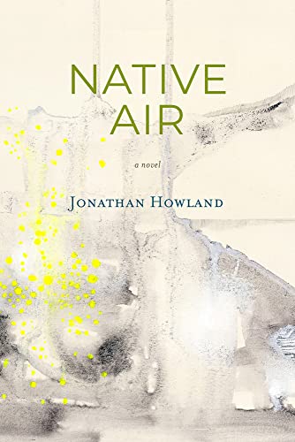 Native Air view 2