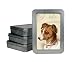 Cavallini Vintage Dog 10 Glittered Cards with Envelopes