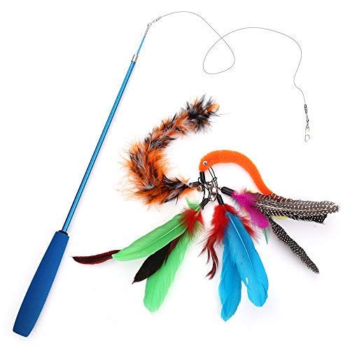 Becory Feather Teaser Cat Toy, Retractable Cat Feather Toy Wand With 5 Assorted Teaser With Bell Refills, Interactive Catcher Teaser For Kitten Or Cat Having Fun Exerciser Playing #TOP6