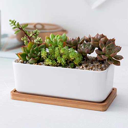 Yardwe Vaso Bonsai de cerâmica retangular com 2 peças para decoração de mesa doméstica
