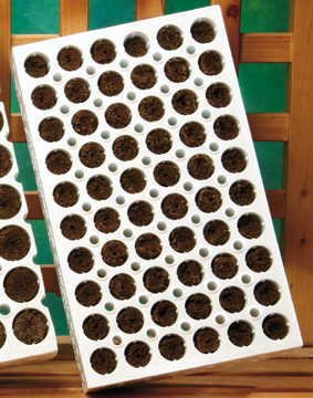 Park SeedPark Seed 60 Cell Bio Dome Planting Block with Bio Sponges