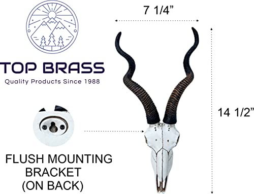 Calavera de Antílope Kudu Africano 14.5 pulg Top Brass miniatura 2