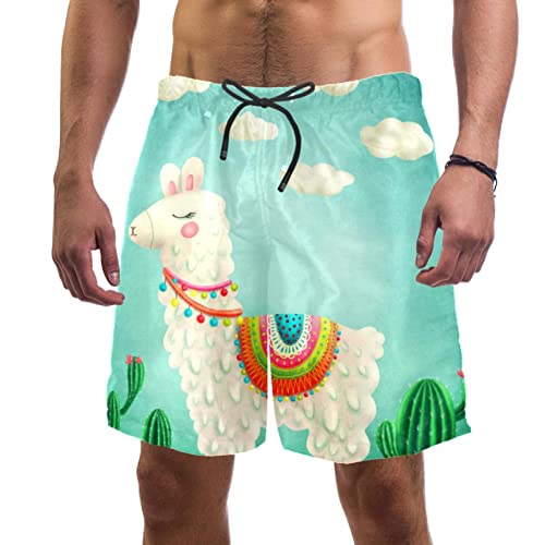 Maillots de Bain Hommes Séchage Rapide Short de Plage JDEZ Alpaca